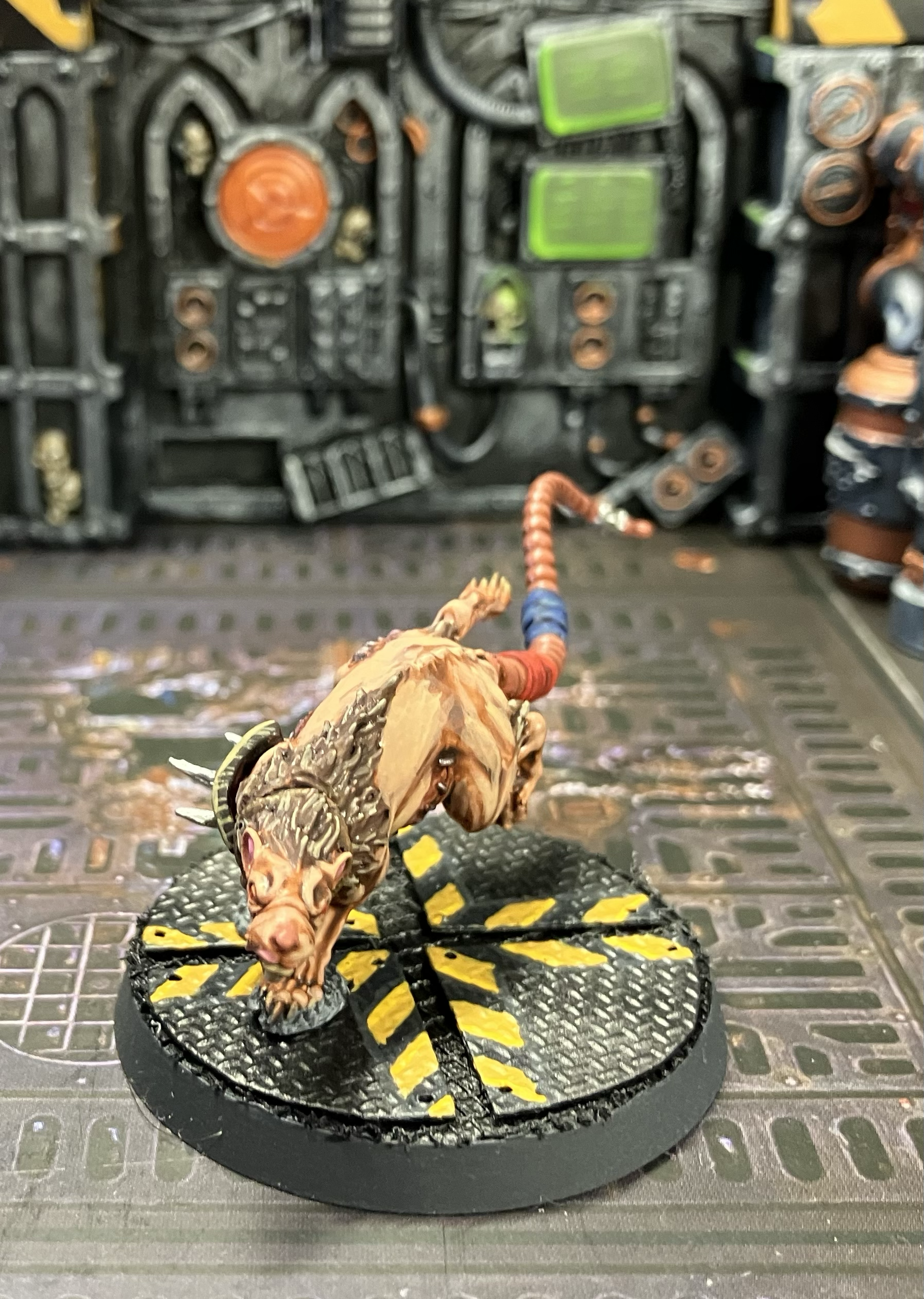 A giant hive rat with blue and red bandages on its tail.